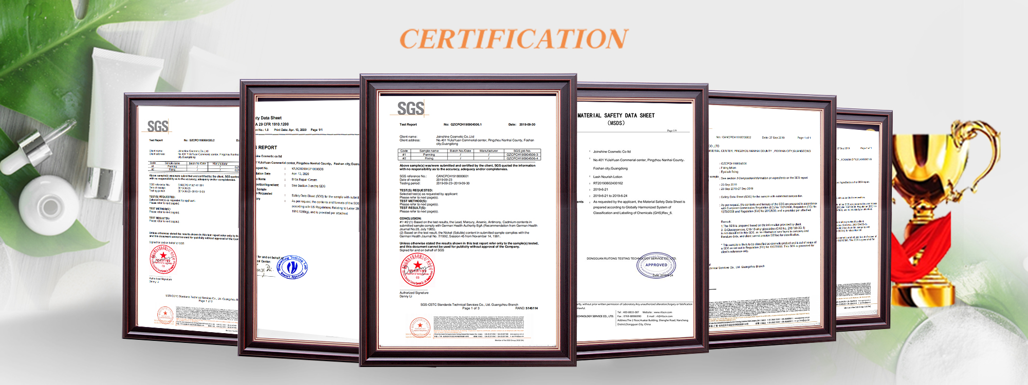 Quality and Compliance Body